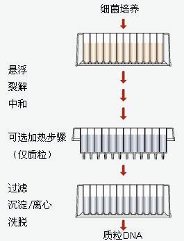 hspace=0