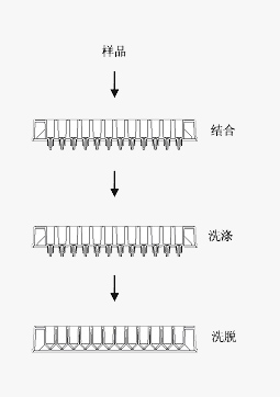 hspace=0