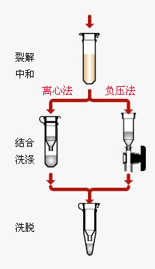 hspace=0